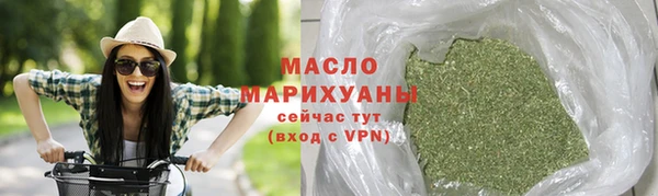 молекула духа Бородино