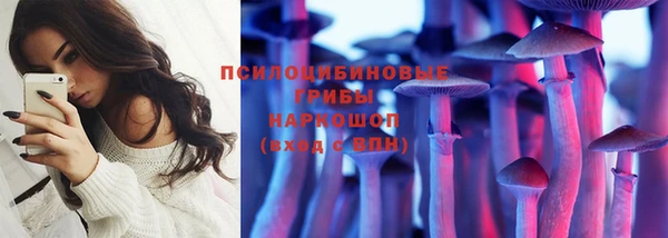 ПСИЛОЦИБИНОВЫЕ ГРИБЫ Бугульма