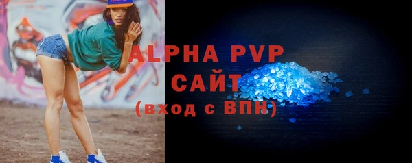 молекула духа Бородино