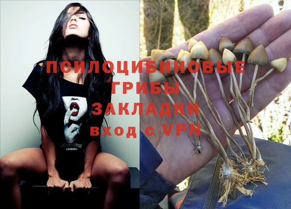 ПСИЛОЦИБИНОВЫЕ ГРИБЫ Бугульма