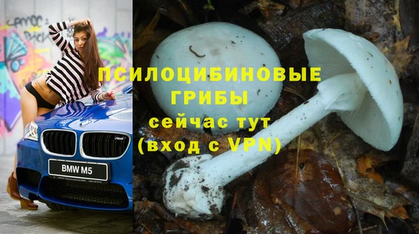 молекула духа Бородино