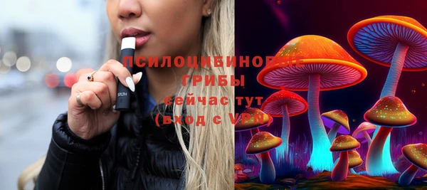ПСИЛОЦИБИНОВЫЕ ГРИБЫ Бугульма