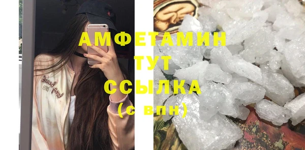 молекула духа Бородино