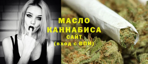 молекула духа Бородино