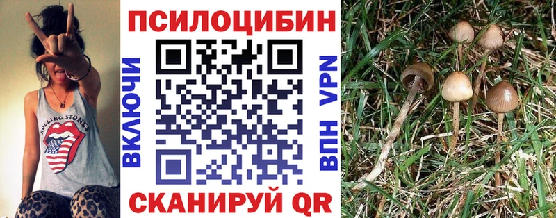 купить Горнозаводск Псилоцибиновые грибы мицелий